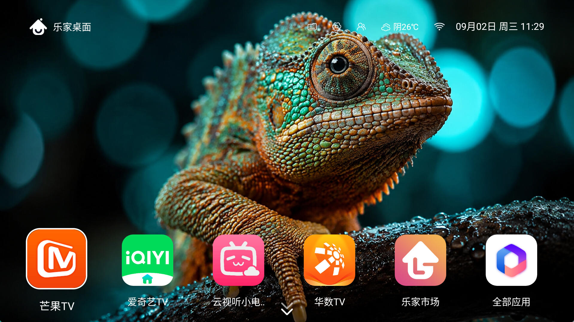 自然生态主题